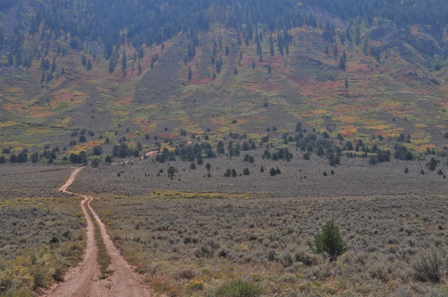 the fall colors along Highway 141